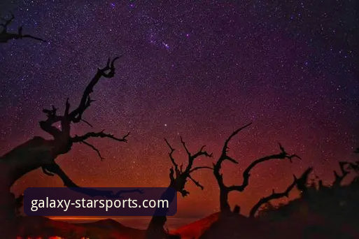 最新StarSports版本下载 揭秘星空体育A7F3版本下载背后的高效体验真相